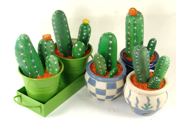 [cactus3.jpg]