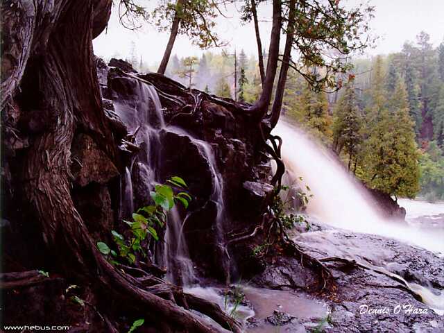 [Waterfall_007.jpg]