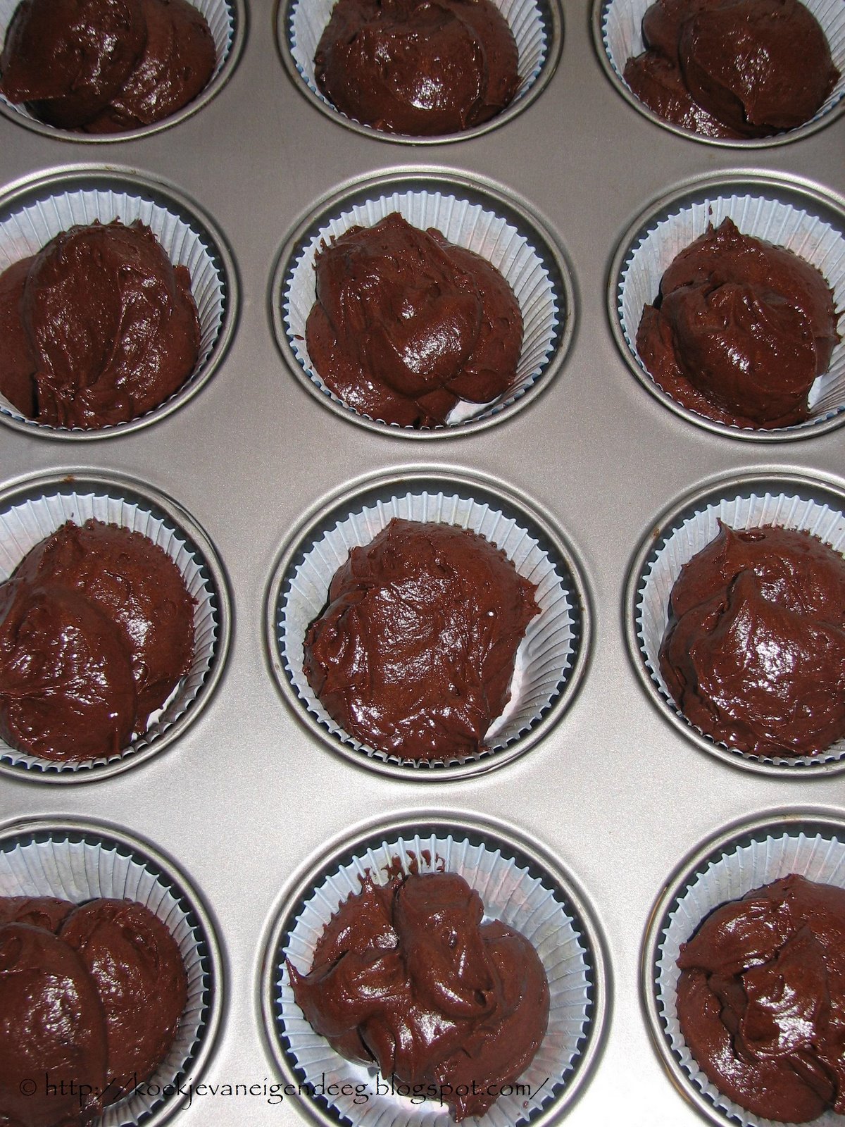 [dark+chocolate+cupcakes+3.JPG]