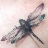 [dragonfly+tattoo.jpg]