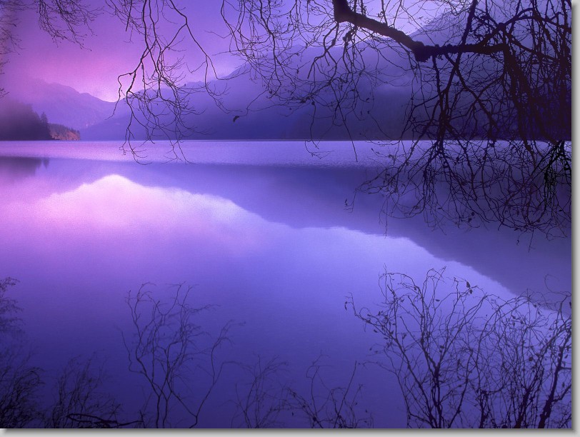 [Purple+Haze+over+Lake+Crescent,+Olympic+National+Park,+Washington.jpg]