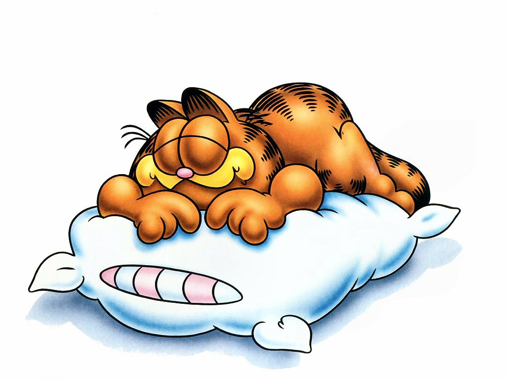 [Garfield+Sleepy.jpg]