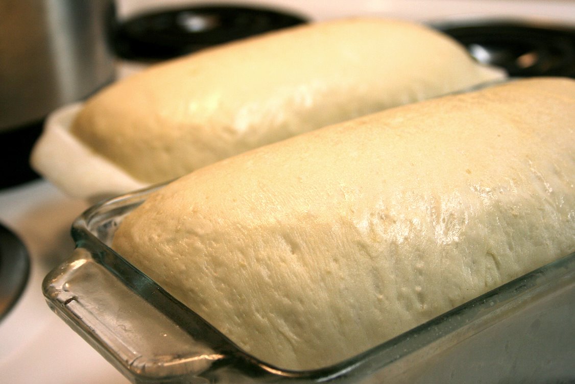 [bread-rise.jpg]