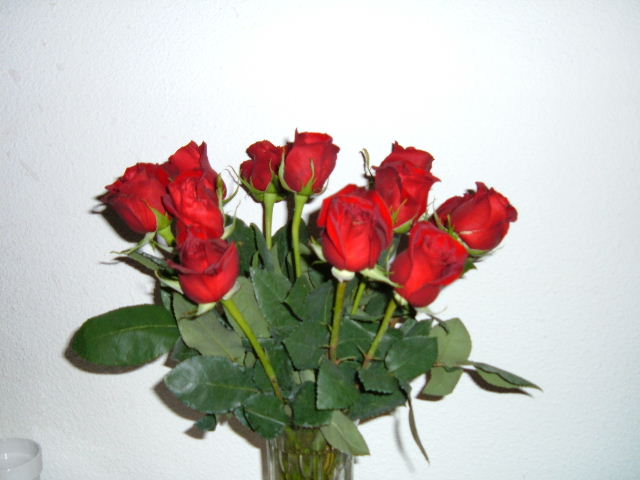 [Roses+from+Bob.JPG]