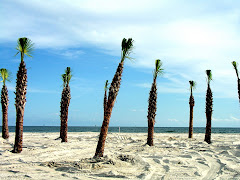 New palms on the West End beach