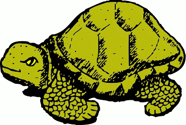 [tortoise.png]