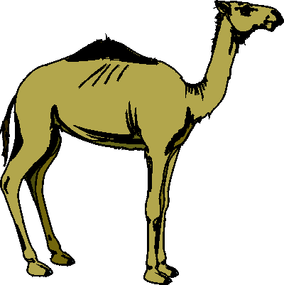 [camel.gif]