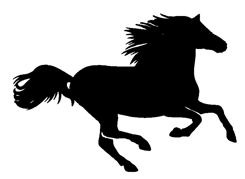 [Horse.gif]