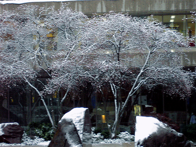 [Courtyard+Snow+1.JPG]