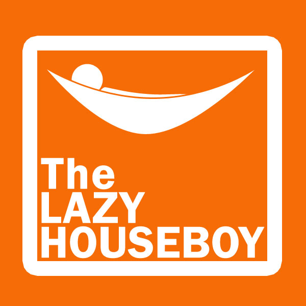 [lazyhouseboy.jpg]