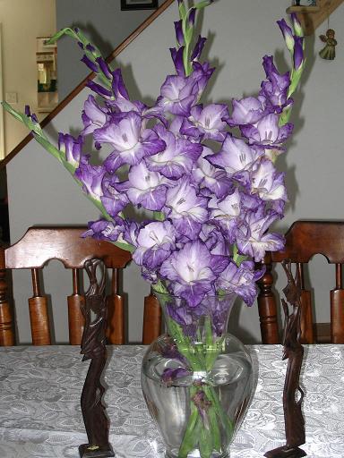 [Gladiolus+ungu.JPG]
