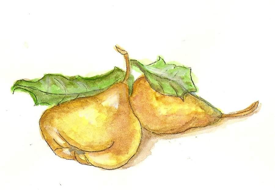 [Pears+#2.JPG]
