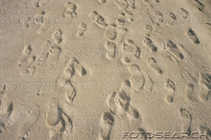 [footprints-sand_~IS817-525.jpg]