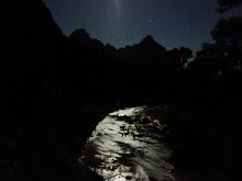 Moonlight in Zion NP '08