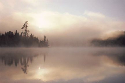 [fog_lake.jpg]