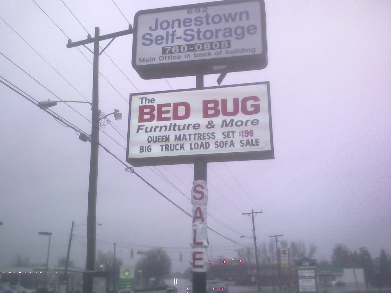 [bed+bug.jpg]