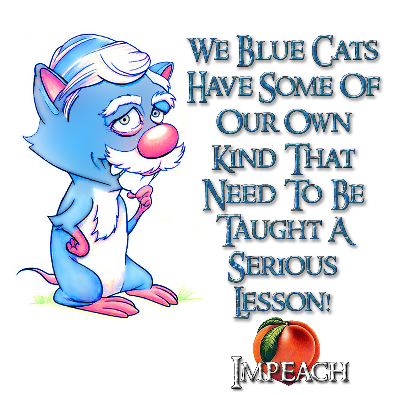 [6.BLUE+CATS.jpg]