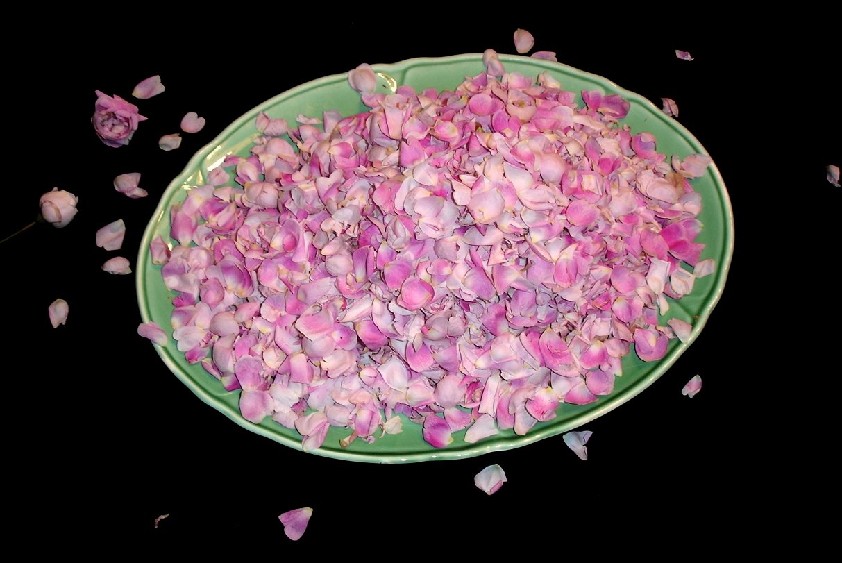 [rose+petals+3.jpg]