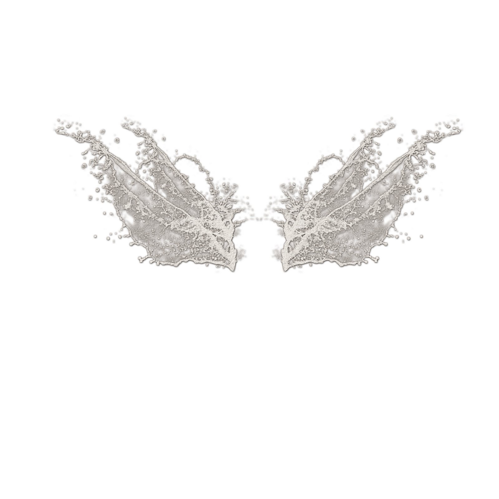 [fairy+wings.jpg]