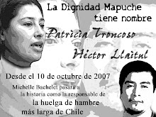 La Dignidad Mapuche tiene nombre...