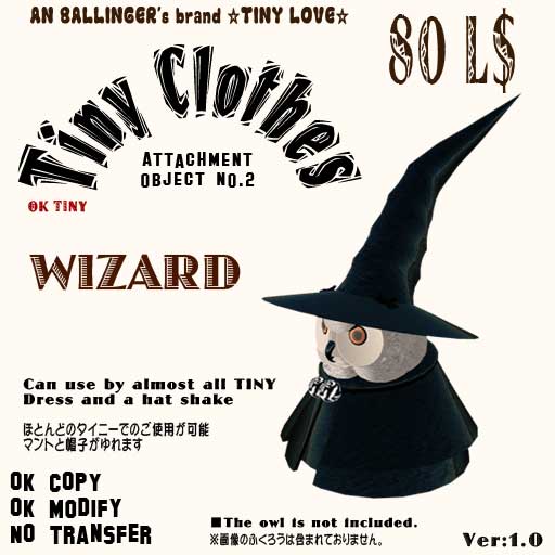 [Clothes-Wizard.jpg]