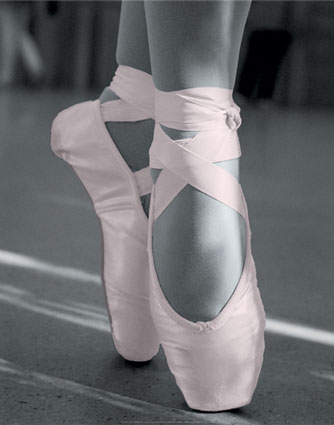 [pantofi+de+balet.jpg]
