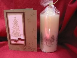 [Lovely+as+a+Tree+1st+card+and+candle.jpg]