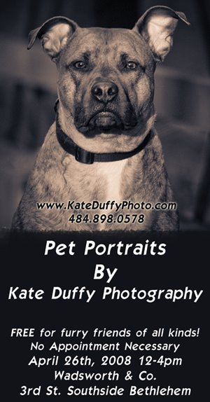 [2008_Pet-Portraits-copy.jpg]