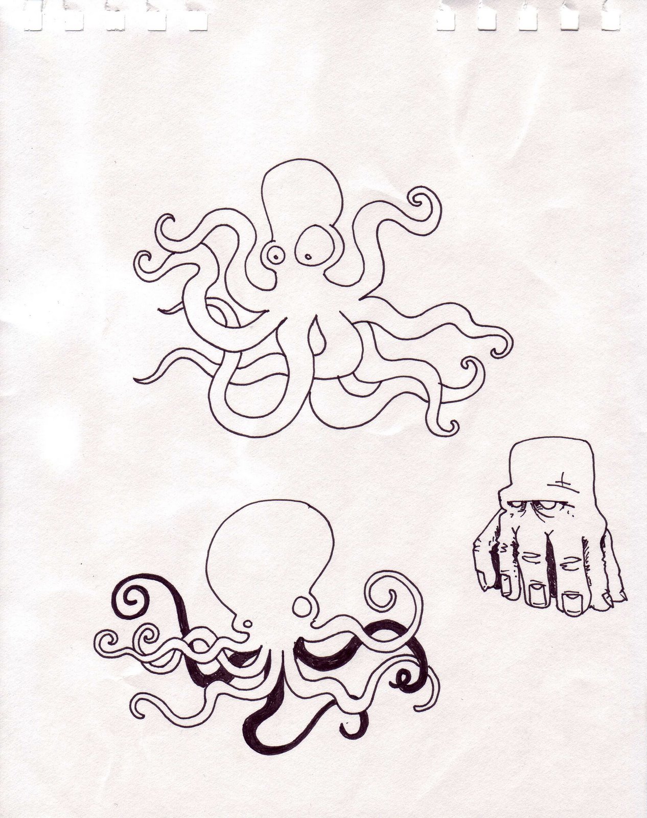 [octopus1.jpg]