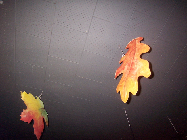 [fall+leaves.JPG]