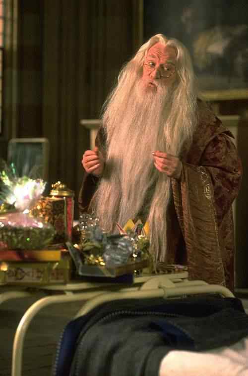 [Dumbledore2.jpg]