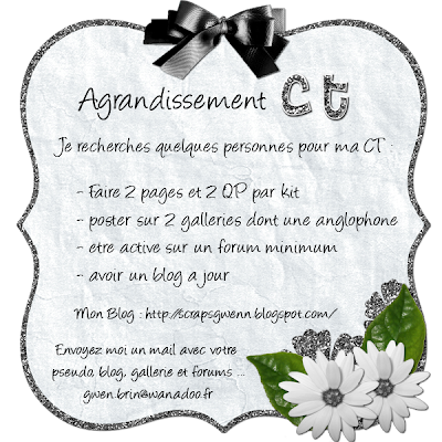 Agrandissement CT [ relance au 20/08] Agrandissement+CT