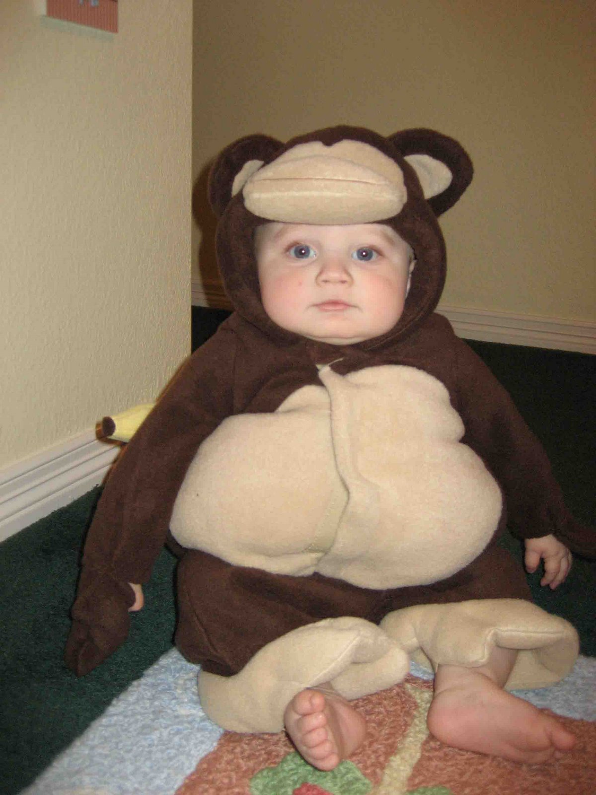 [110107-monkey+costume2-comp.jpg]
