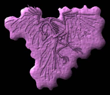 [Archaeopteryx.jpg]