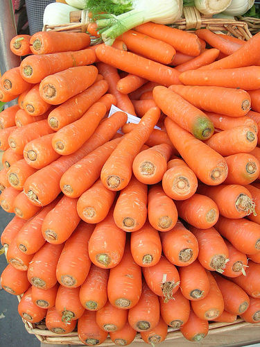 [carrot1.jpg]