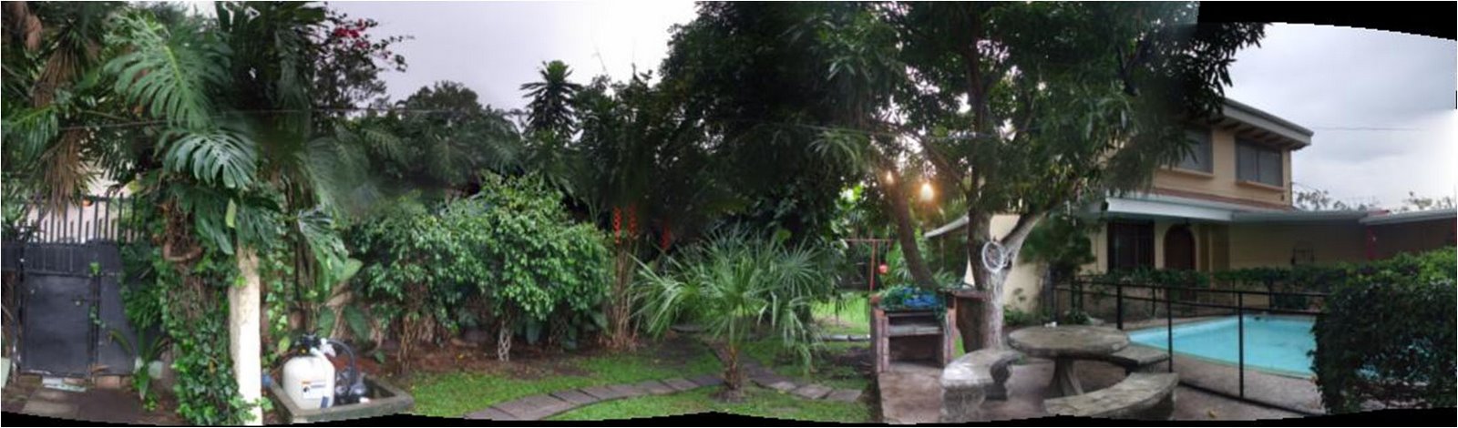 [backyard+panoramic.jpg]
