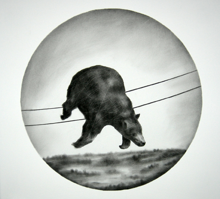 [bear_on_hydro_wires_small.jpg]