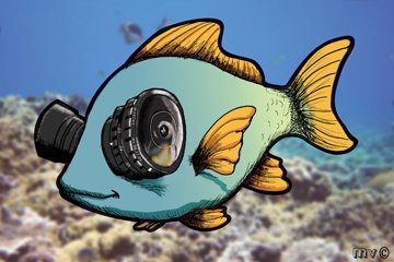 [Lenseyed-Fish.jpg]