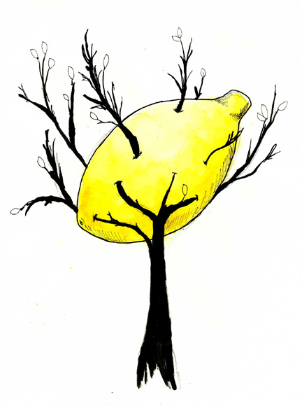 [Lemon-Tree.jpg]