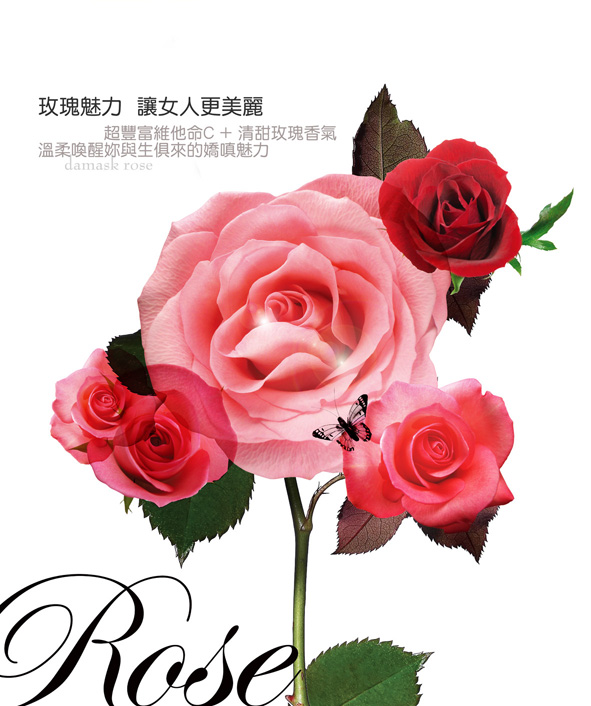 [rose-1low.jpg]