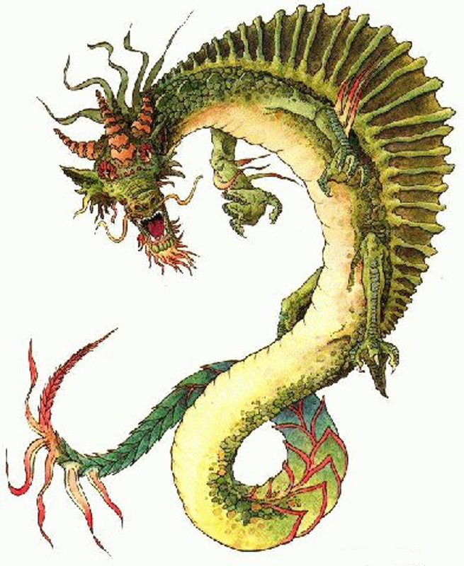 [chinese-dragon-green-23-large.jpg]