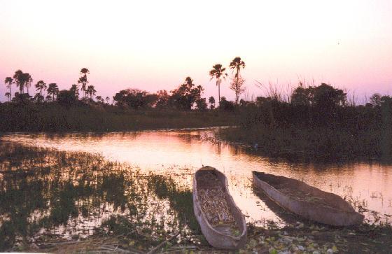 [1000418-Okavango_Delta-Botswana.jpg]
