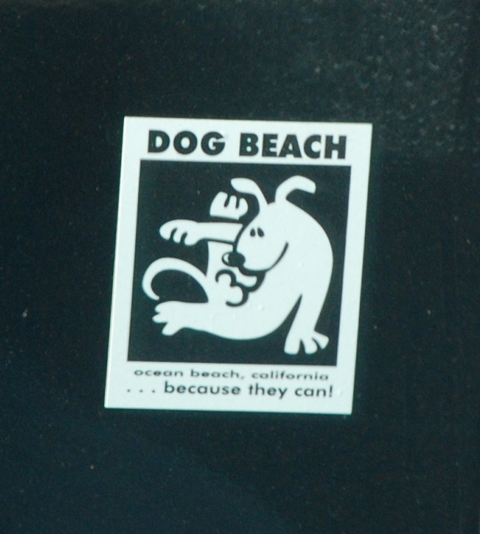 [dog+beach+bumper+sticker.JPG]