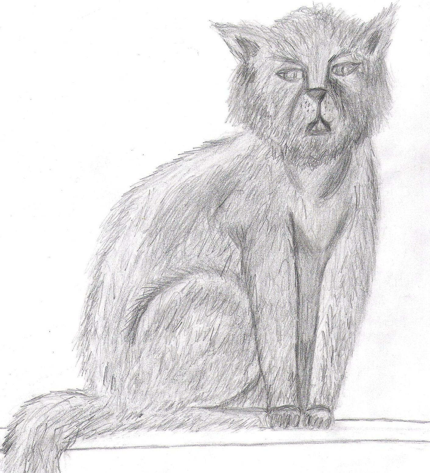 [Cat+Study+Drawing+001.jpg]