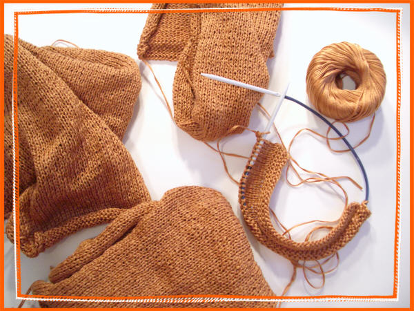 [2007-03-16+albany+sweater+sock+005.jpg]