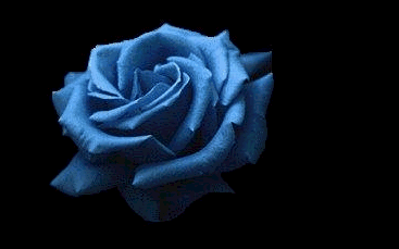 [rosa+azul6.gif]