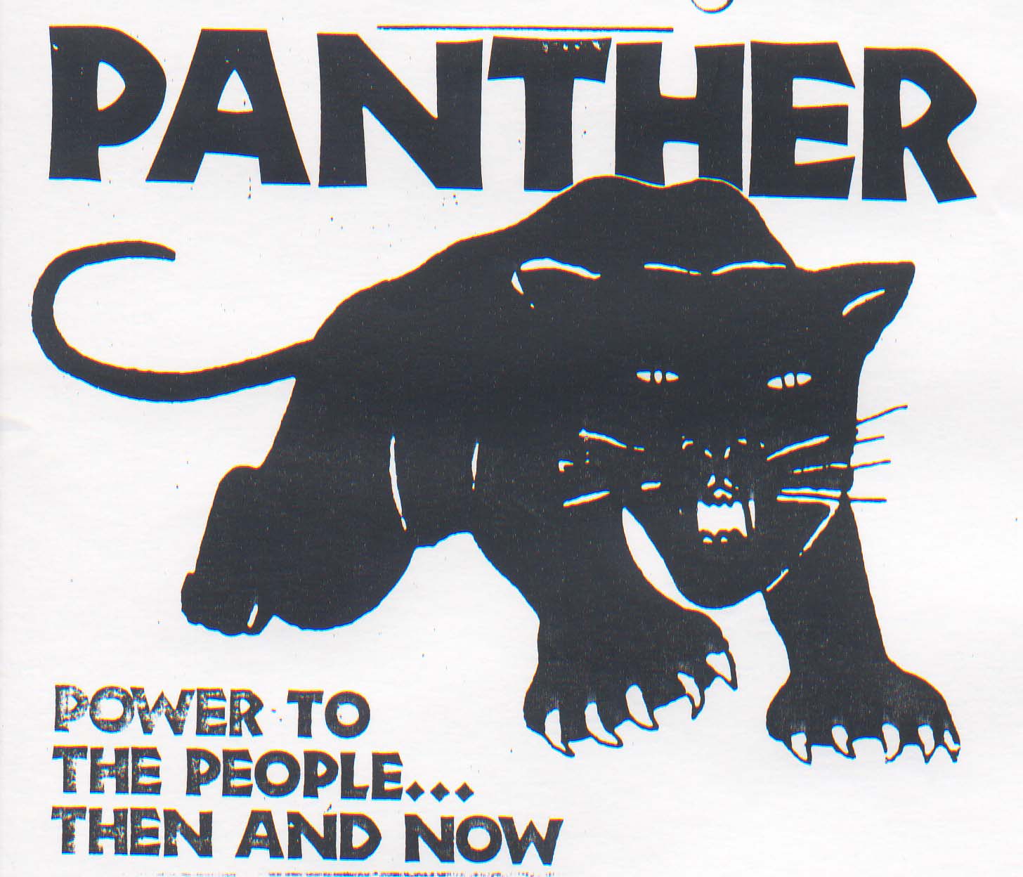 [panther.jpg]