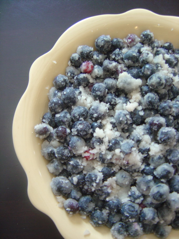 [blueberries+06_resize.JPG]