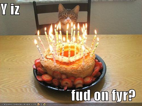 [funny-pictures-cat-wonders-why-the-food-is-on-fire.jpg]