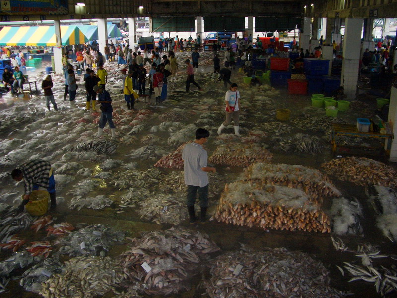 [fish_market.jpg]